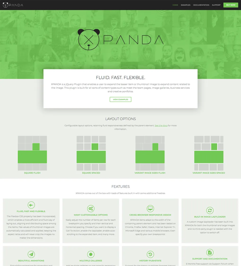 Project ~ XPANDA jQuery Gallary